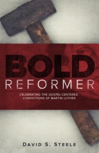 Bold Reformer - d5